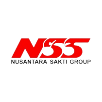 logo nss